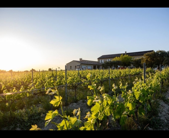 « DOMAINE LES CARDELINES » à VACQUERAS