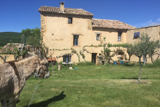 Bastide, Alpes de Hautes Provence.